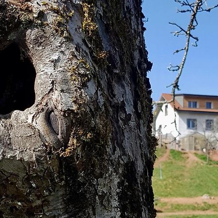 Coeur Vert Okologisch Mit Viel Ambiente Fur Seelen-Wellness Ronchamp Pokój zdjęcie