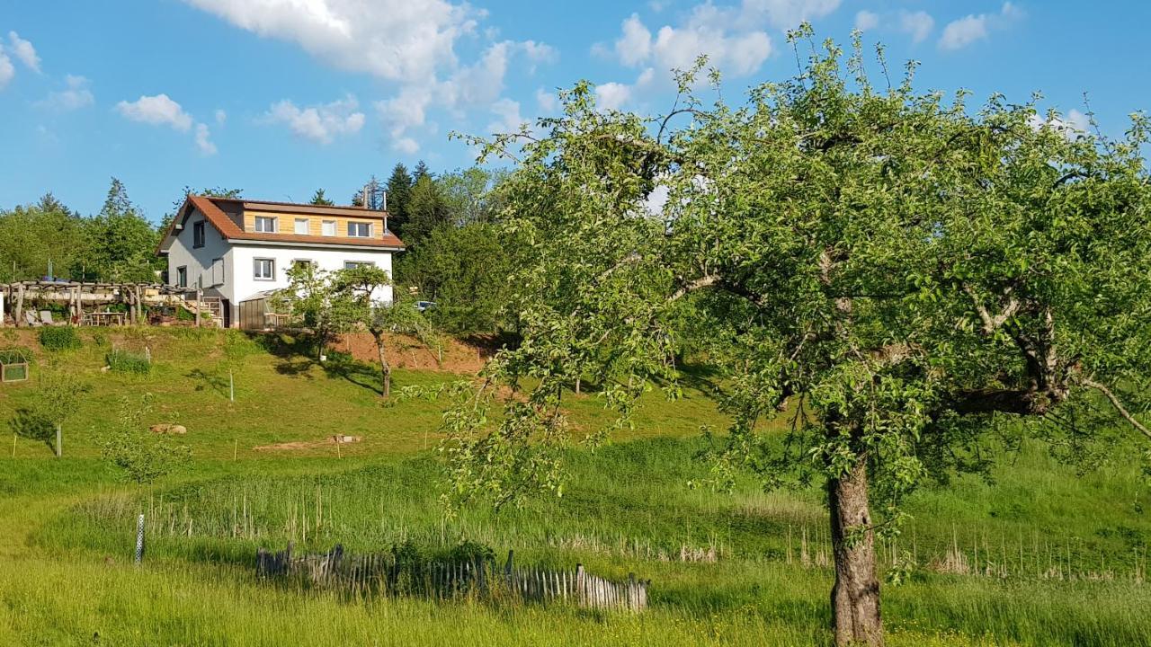 Coeur Vert Okologisch Mit Viel Ambiente Fur Seelen-Wellness Ronchamp Zewnętrze zdjęcie